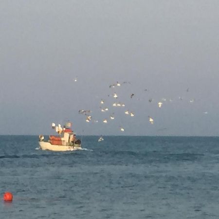 شقة Mansarda Mare ألتيدونا المظهر الخارجي الصورة